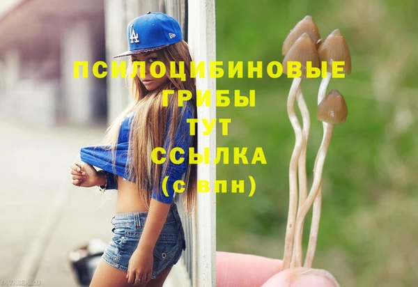 ешки Абинск