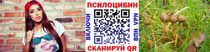 Псилоцибиновые грибы Magic Shrooms Цивильск